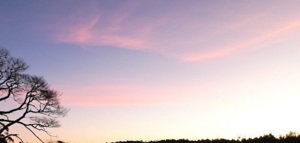 Atardecer sobre la laguna, con los árboles de la ribera en contraluz