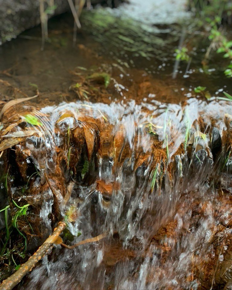 Pequeña cascada en el curso de agua del sector