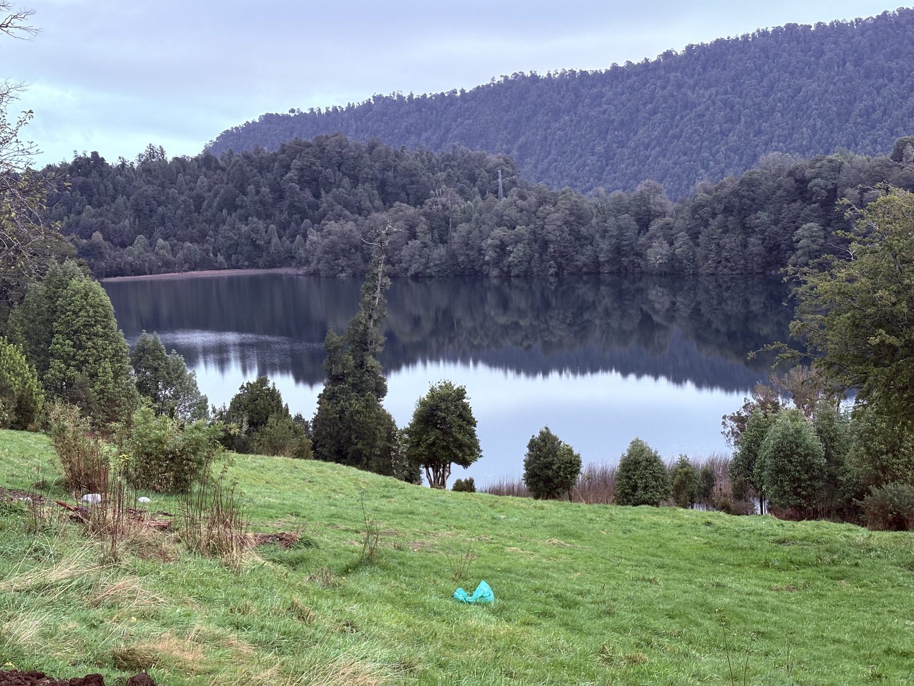 La pradera del área común bajando hasta la orilla de la Laguna El Palmar