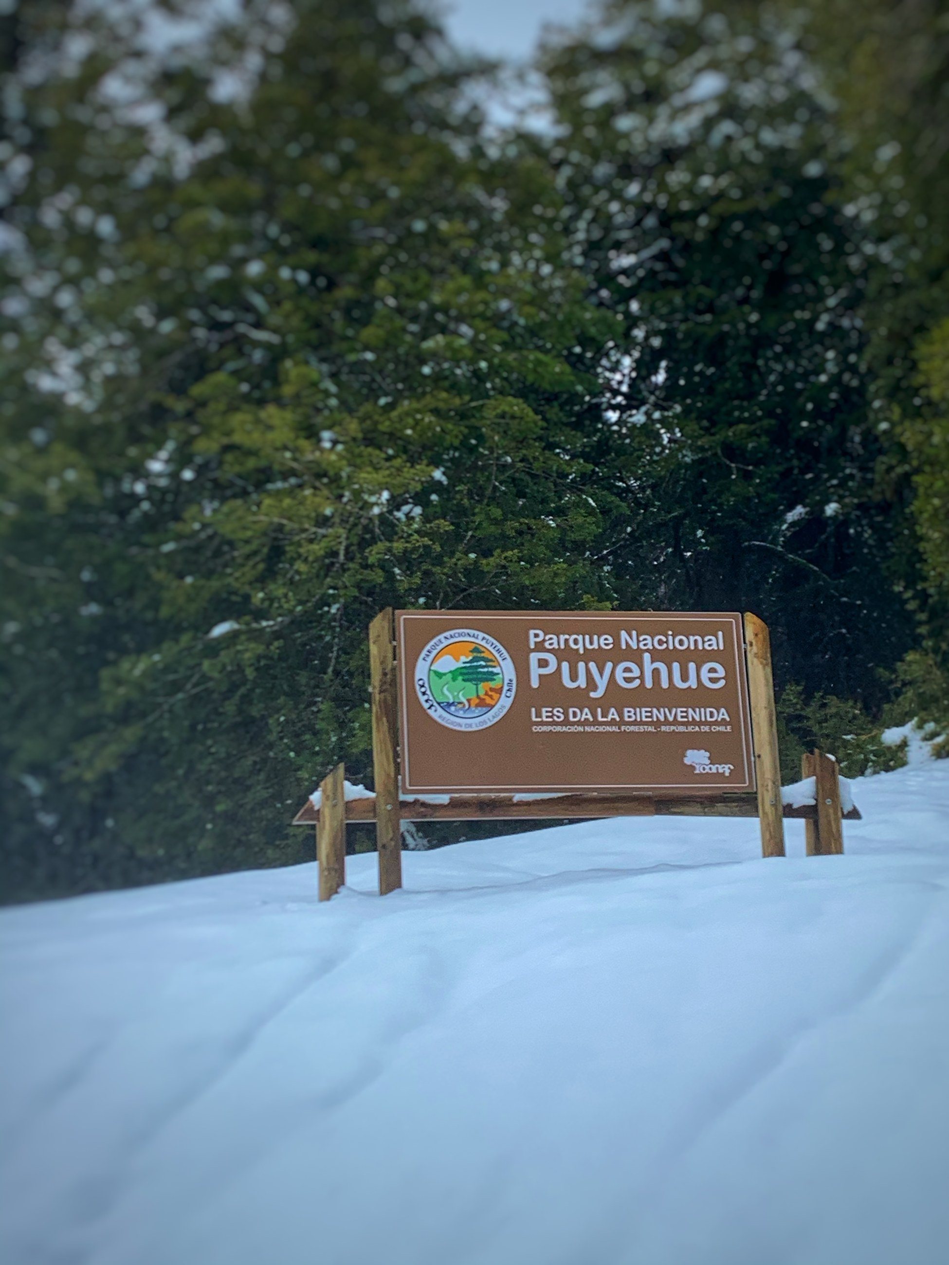 El Lago Paraíso, a 3,6 km del predio, dentro del Parque Nacional Puyehue