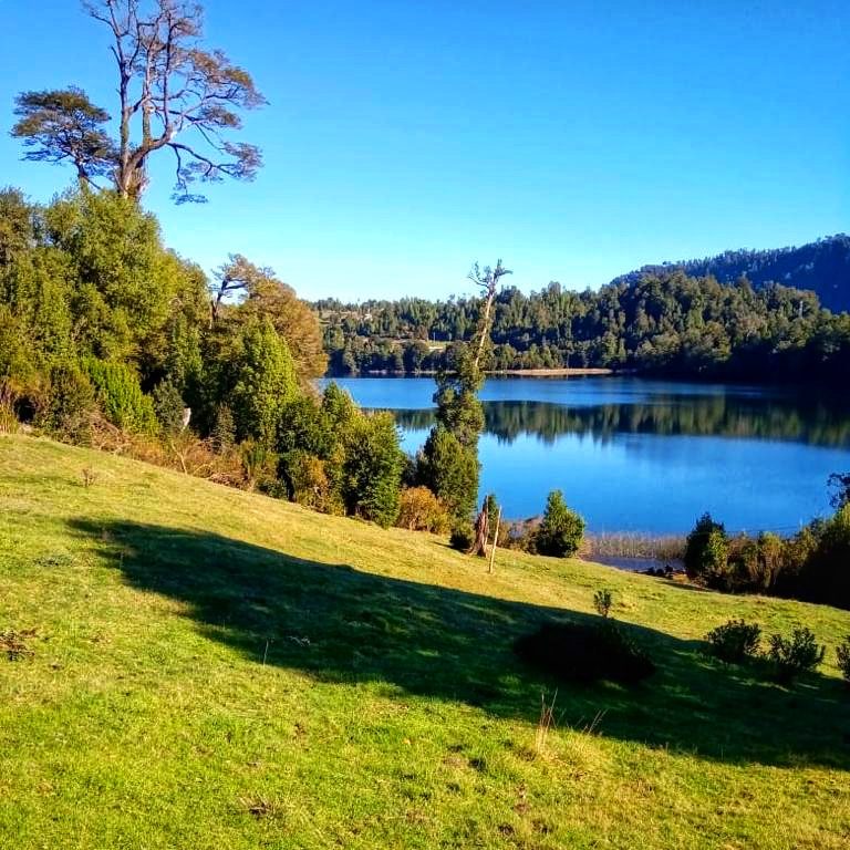 Pradera junto a la orilla del lago de Puerto Paraíso, con bosque nativo y cerros al atardecer