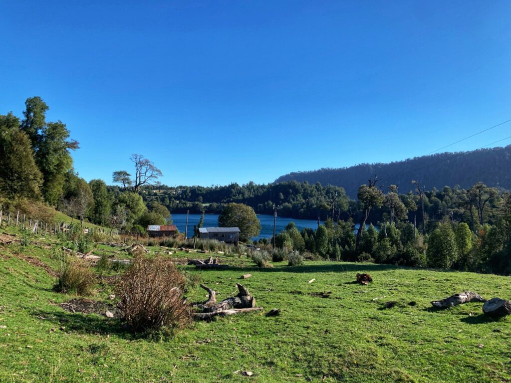 Pradera con vista al lago y algunas casas del sector
