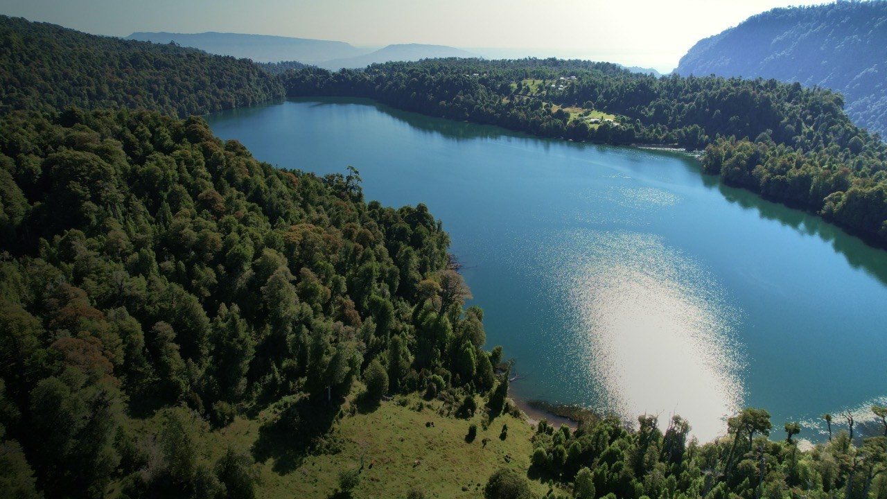 La Laguna El Palmar vista desde el aire, rodeada de bosque