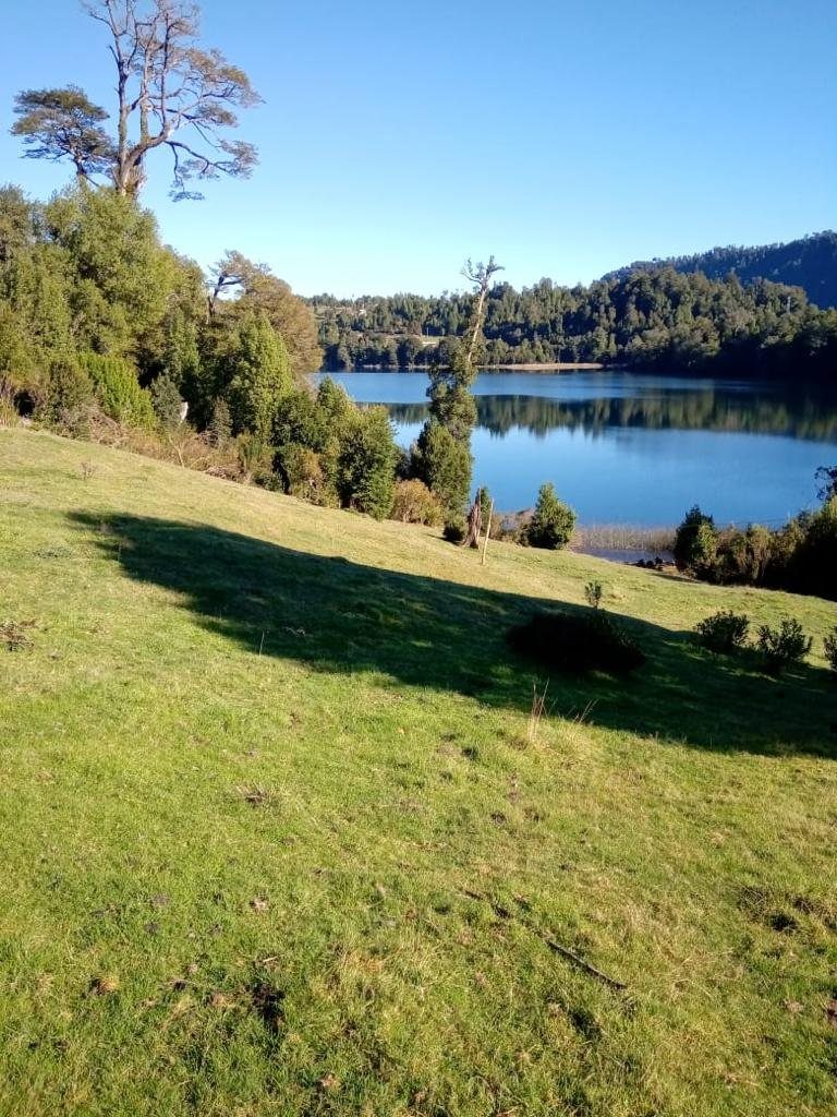 Vista de la laguna desde uno de los lotes, con pradera en primer plano