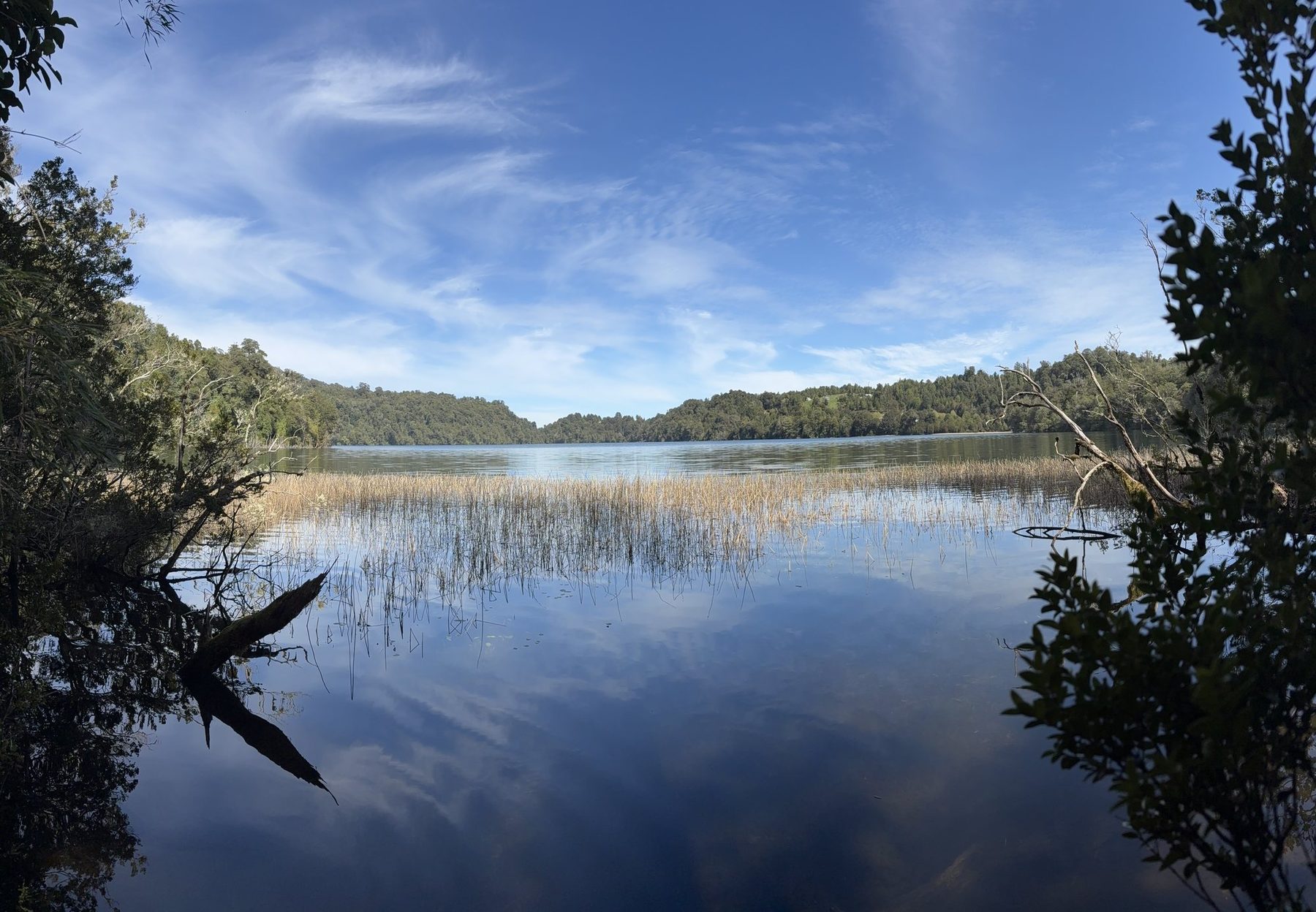 La Laguna El Palmar en calma, reflejando el cielo y el bosque