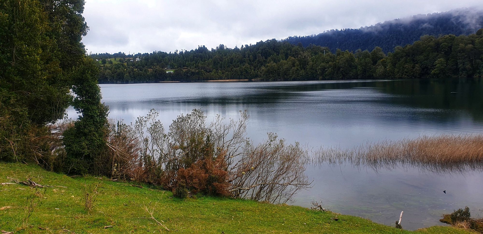 La Laguna El Palmar en día nublado, con los juncos de la ribera en primer plano