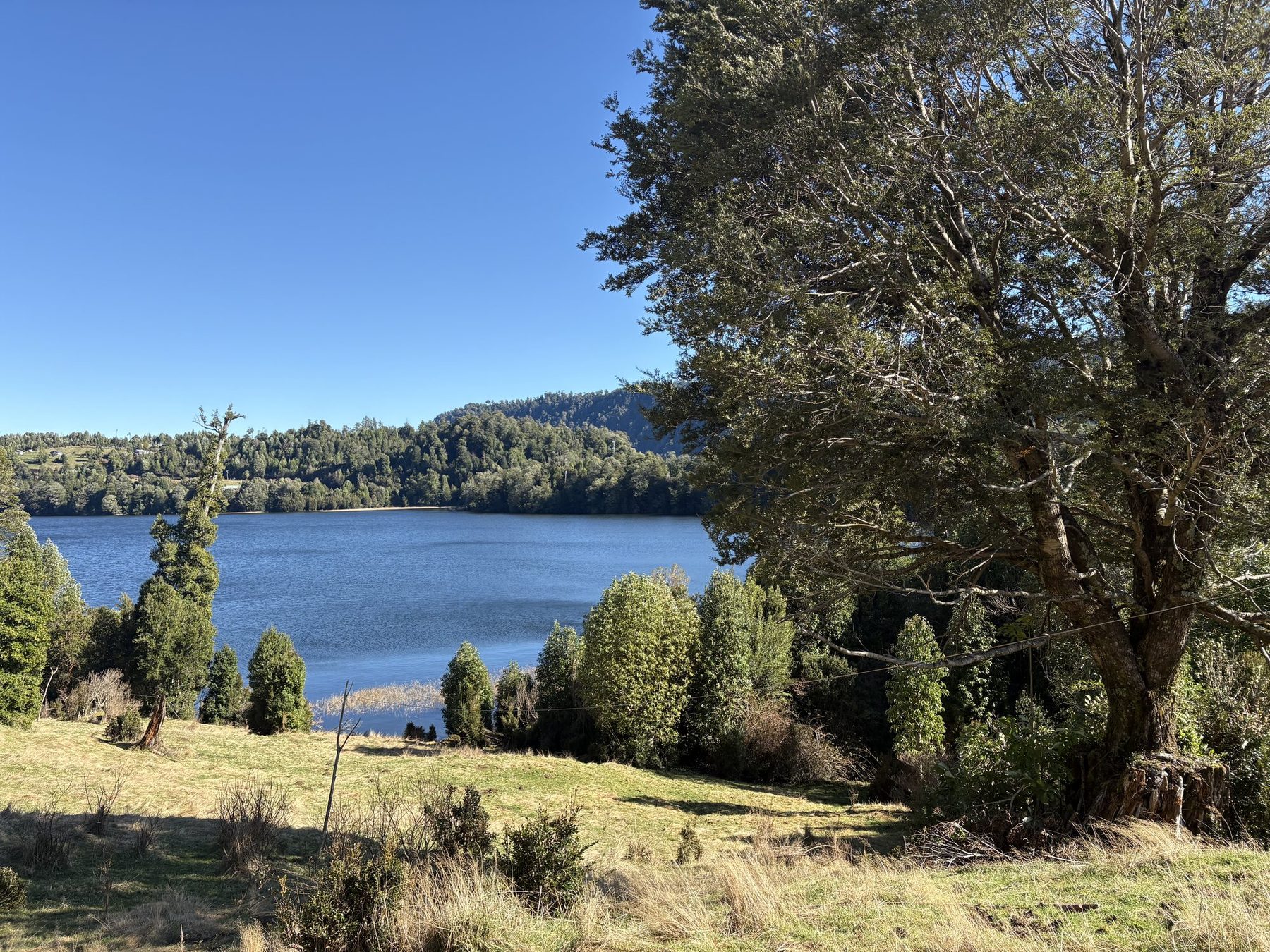 La Laguna El Palmar vista desde la pradera del predio