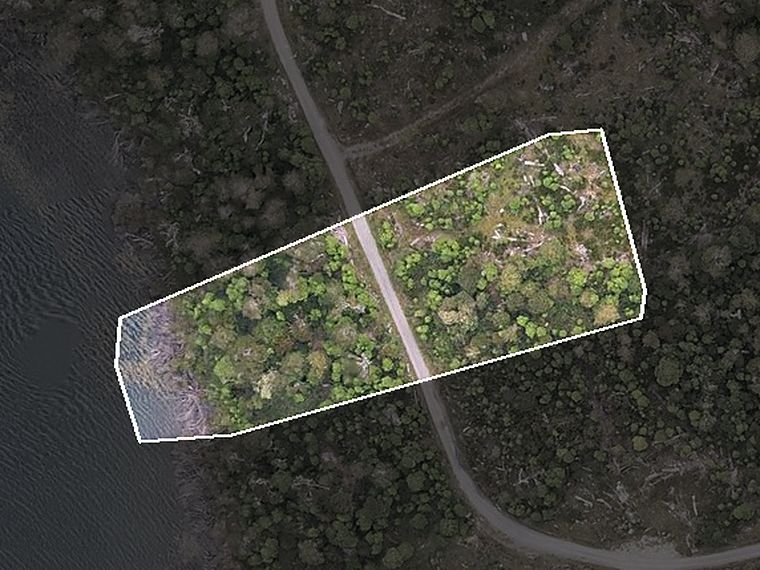 Vista aérea del lote 10 de Puerto Paraíso, recortada de la ortofoto propia del predio