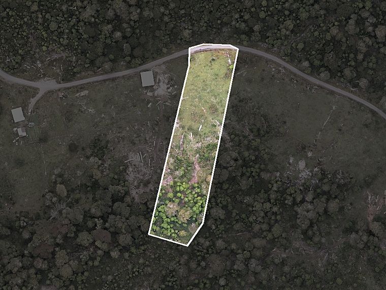 Vista aérea del lote 22 de Puerto Paraíso, recortada de la ortofoto propia del predio
