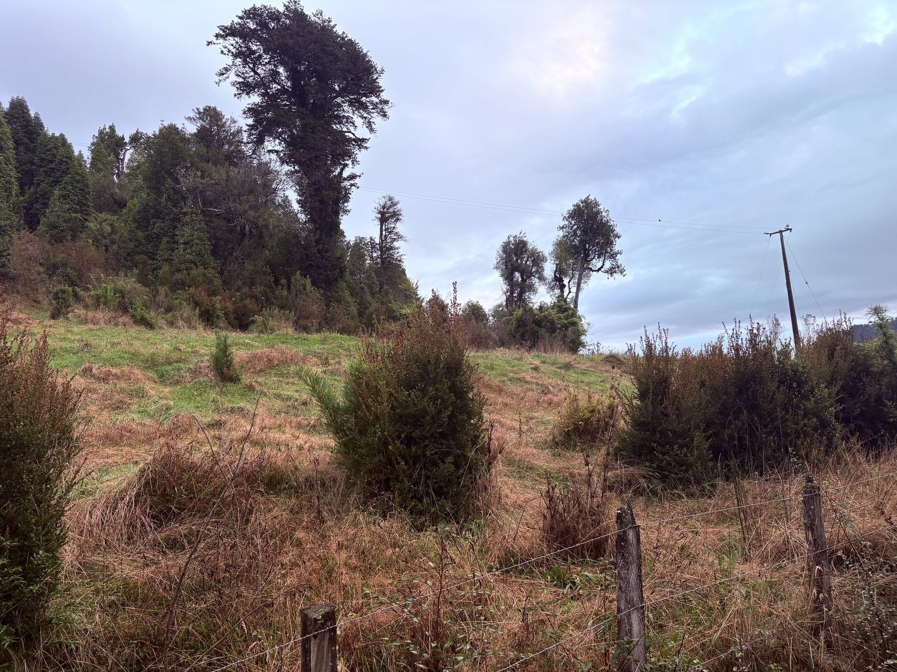 La pradera del lote 23, de 6.000 metros cuadrados