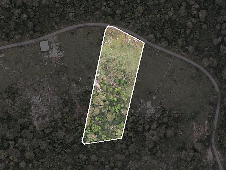 Vista aérea del lote 23 de Puerto Paraíso, recortada de la ortofoto propia del predio