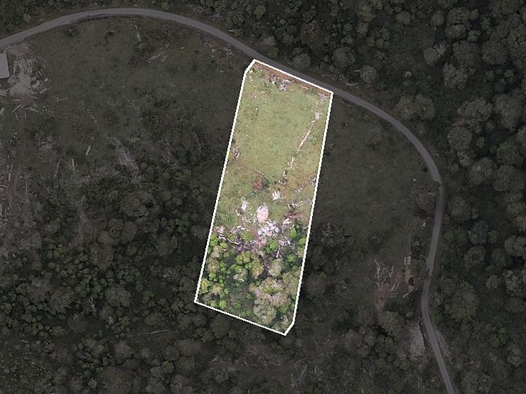 Vista aérea del lote 24 de Puerto Paraíso, recortada de la ortofoto propia del predio