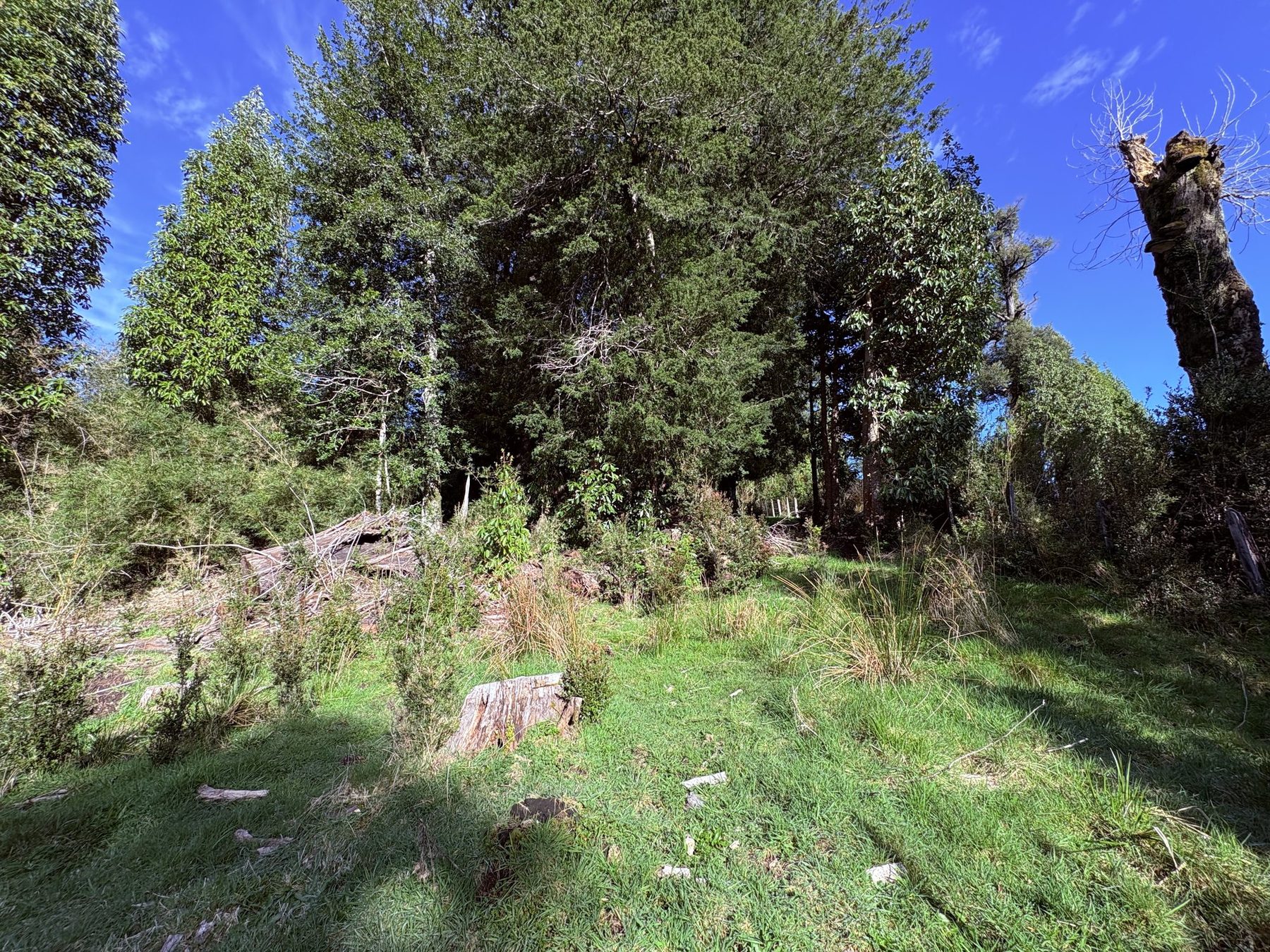 El borde de pradera y entorno natural del lote 25