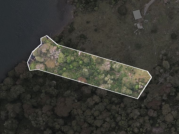 Vista aérea del lote 7 de Puerto Paraíso, recortada de la ortofoto propia del predio