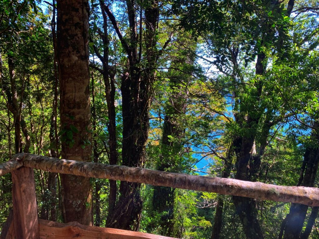 Baranda de madera del mirador con vista al lago entre los troncos