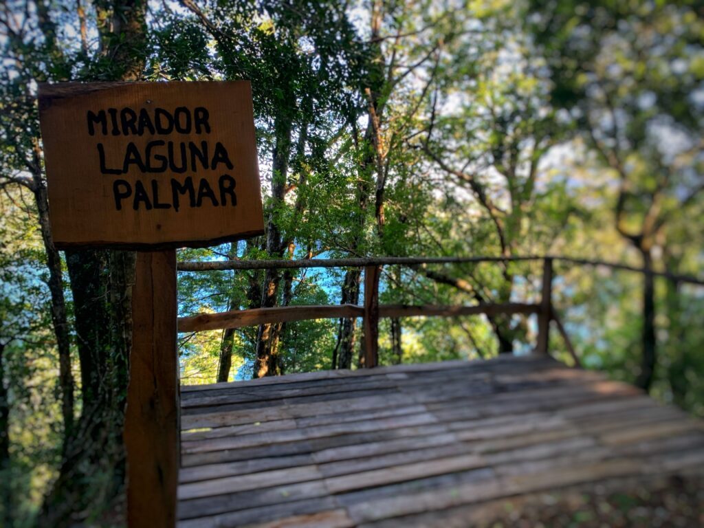 Cartel de madera del Mirador Laguna Palmar en un sendero del bosque