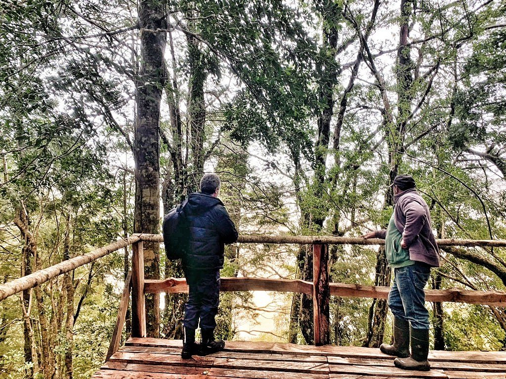 Plataforma de madera del mirador, con dos personas mirando el bosque