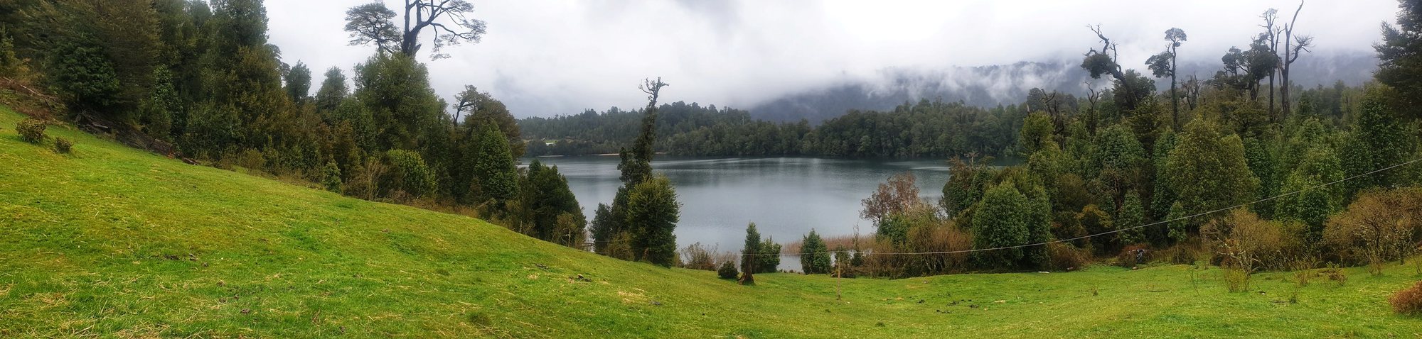 La franja de pradera entre el bosque y la orilla de la laguna