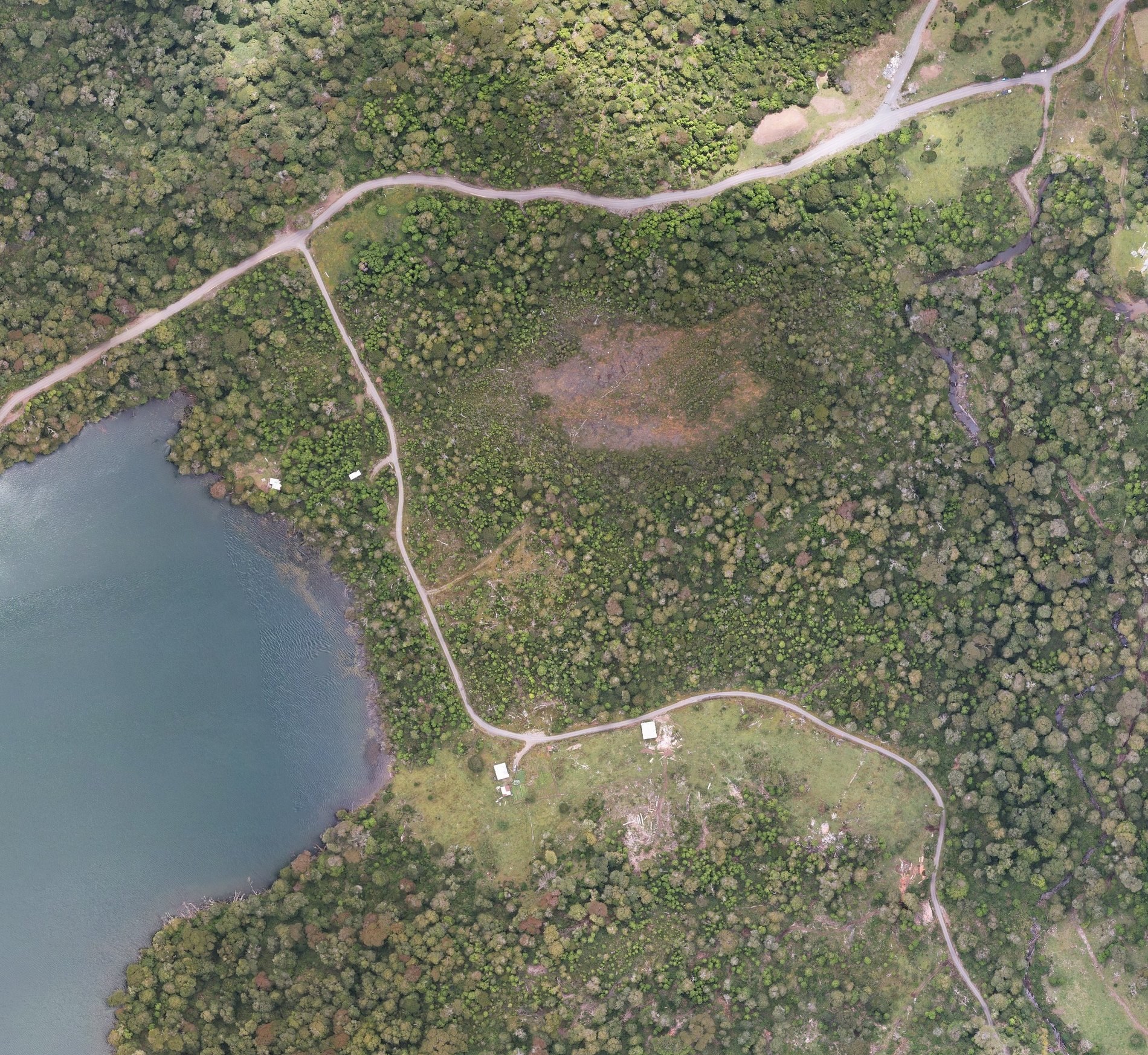 Ortofoto aérea del predio de Puerto Paraíso a 14 cm por píxel