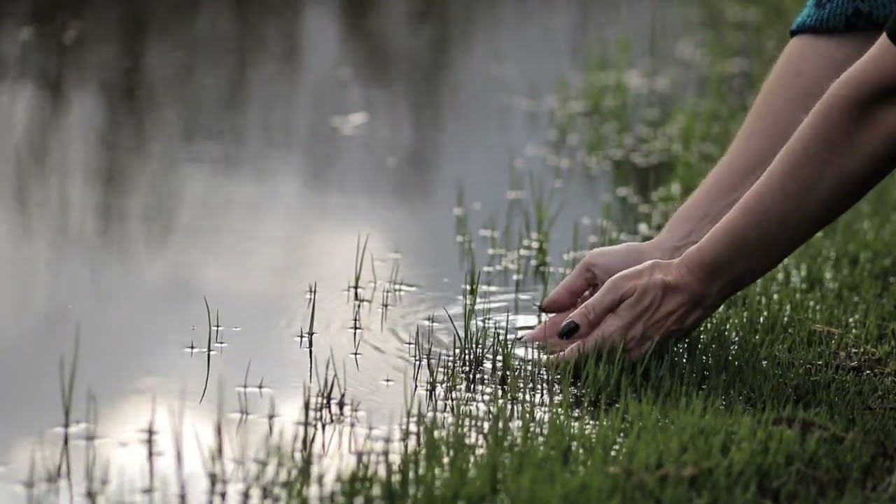 Miniatura del video «El agua es vida» de Puerto Paraíso