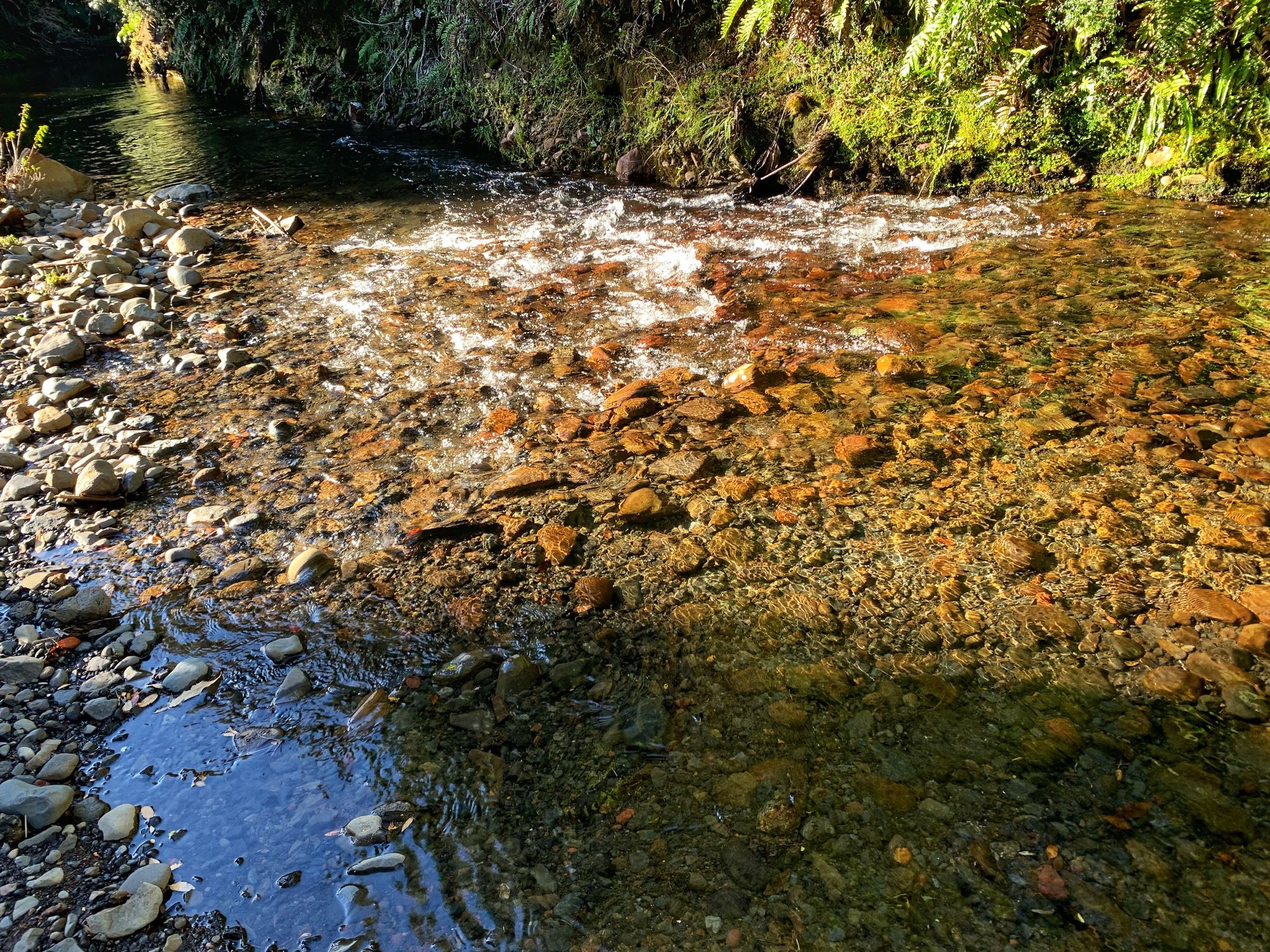 El río del predio con el lecho de piedras visible bajo el agua