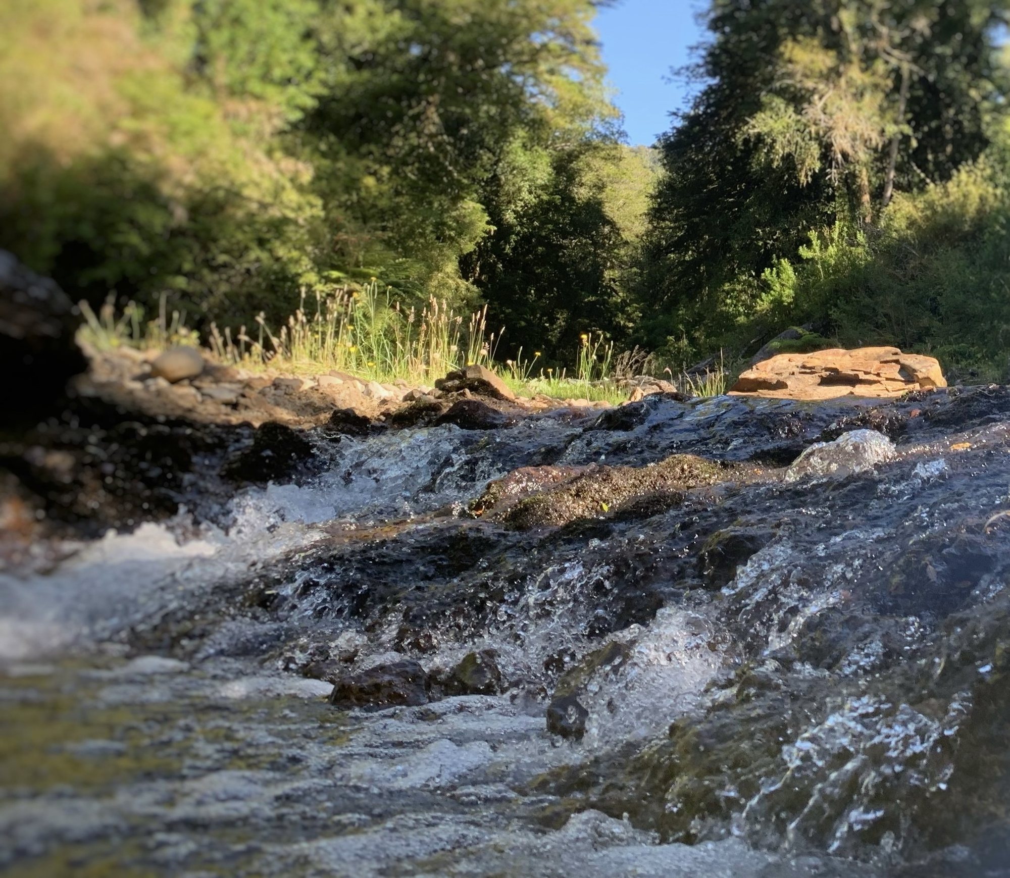 El río del predio corriendo entre las piedras