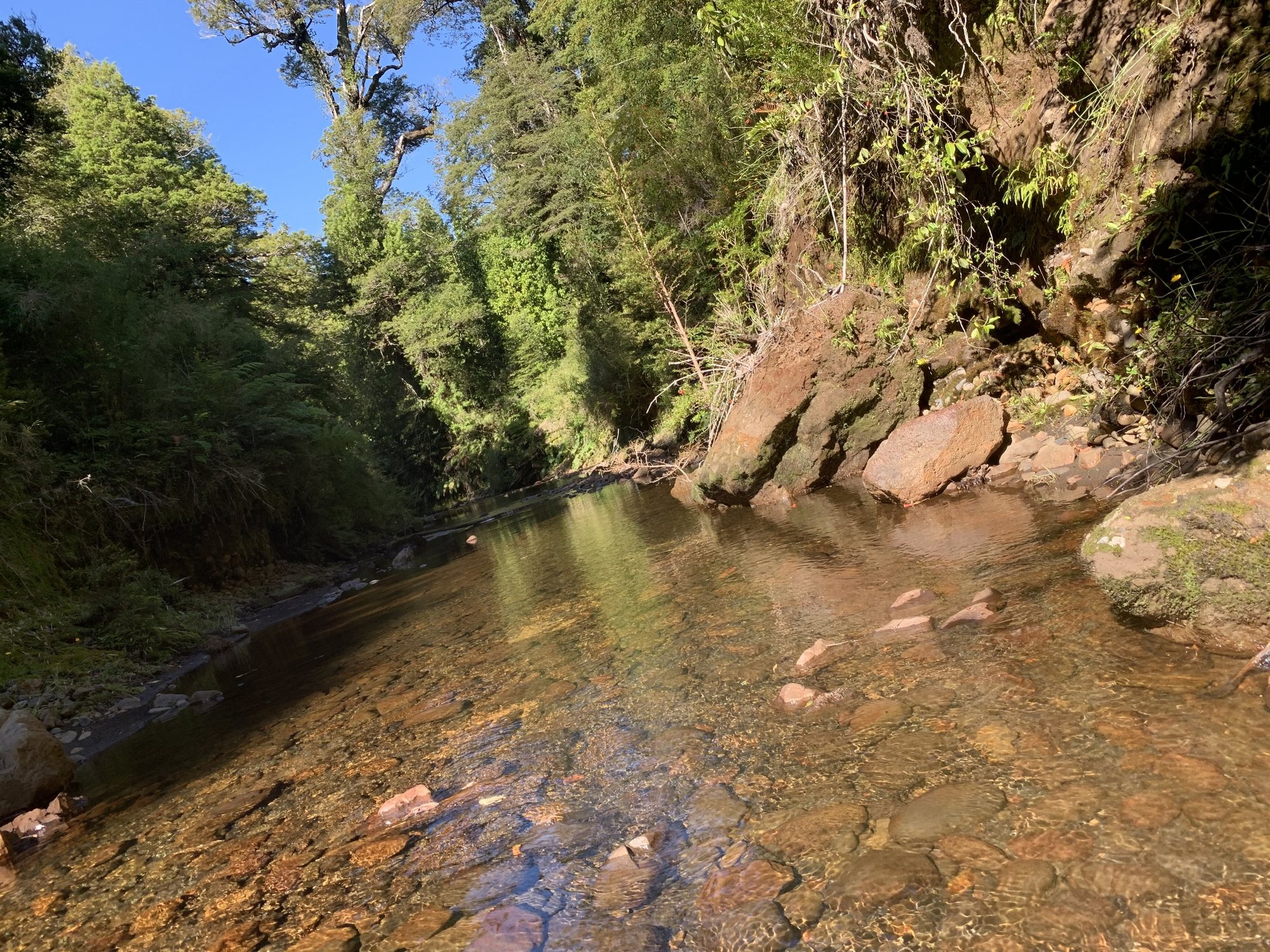 Pozón del río al pie de una pared de roca