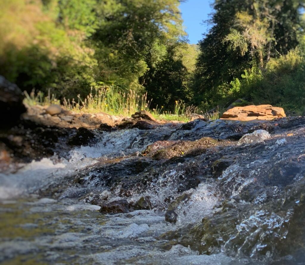 Rápidos del río — Puerto Paraíso, Puyehue
