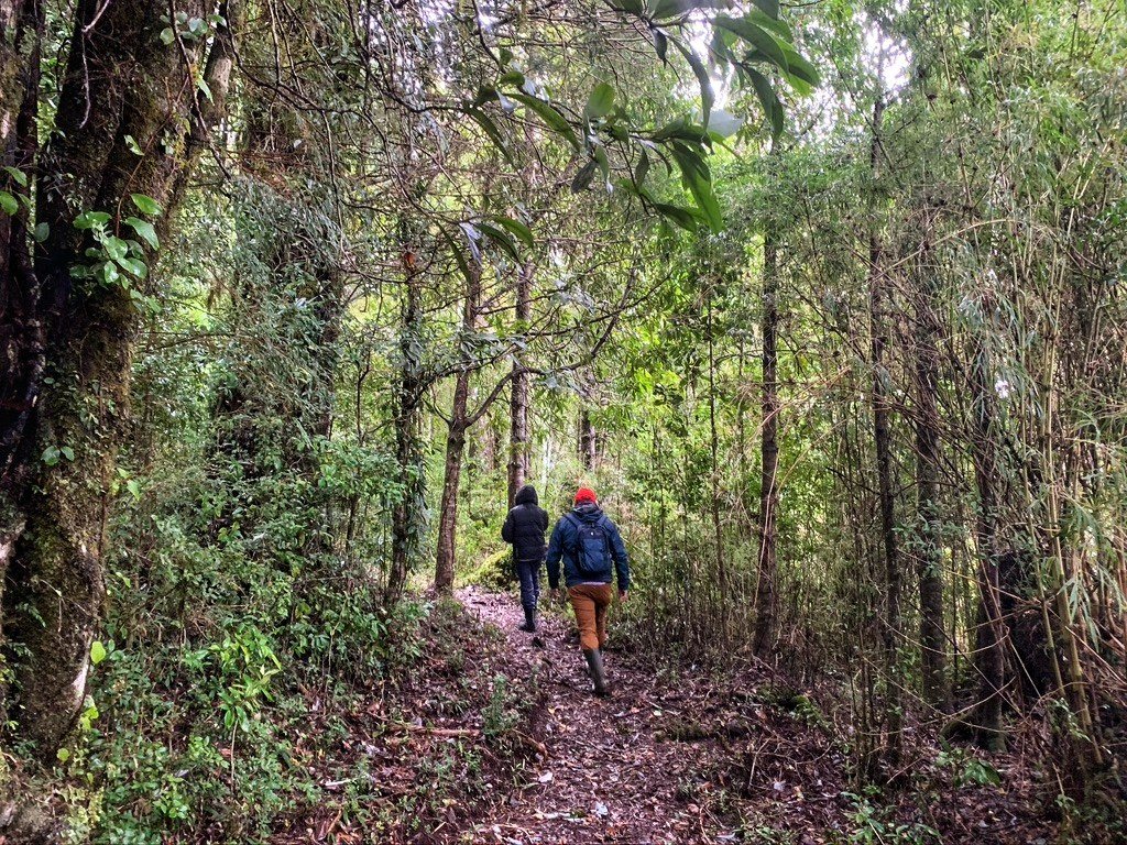 Dos caminantes en un sendero del entorno natural