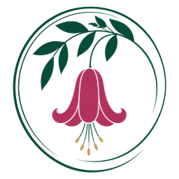Puerto Paraíso