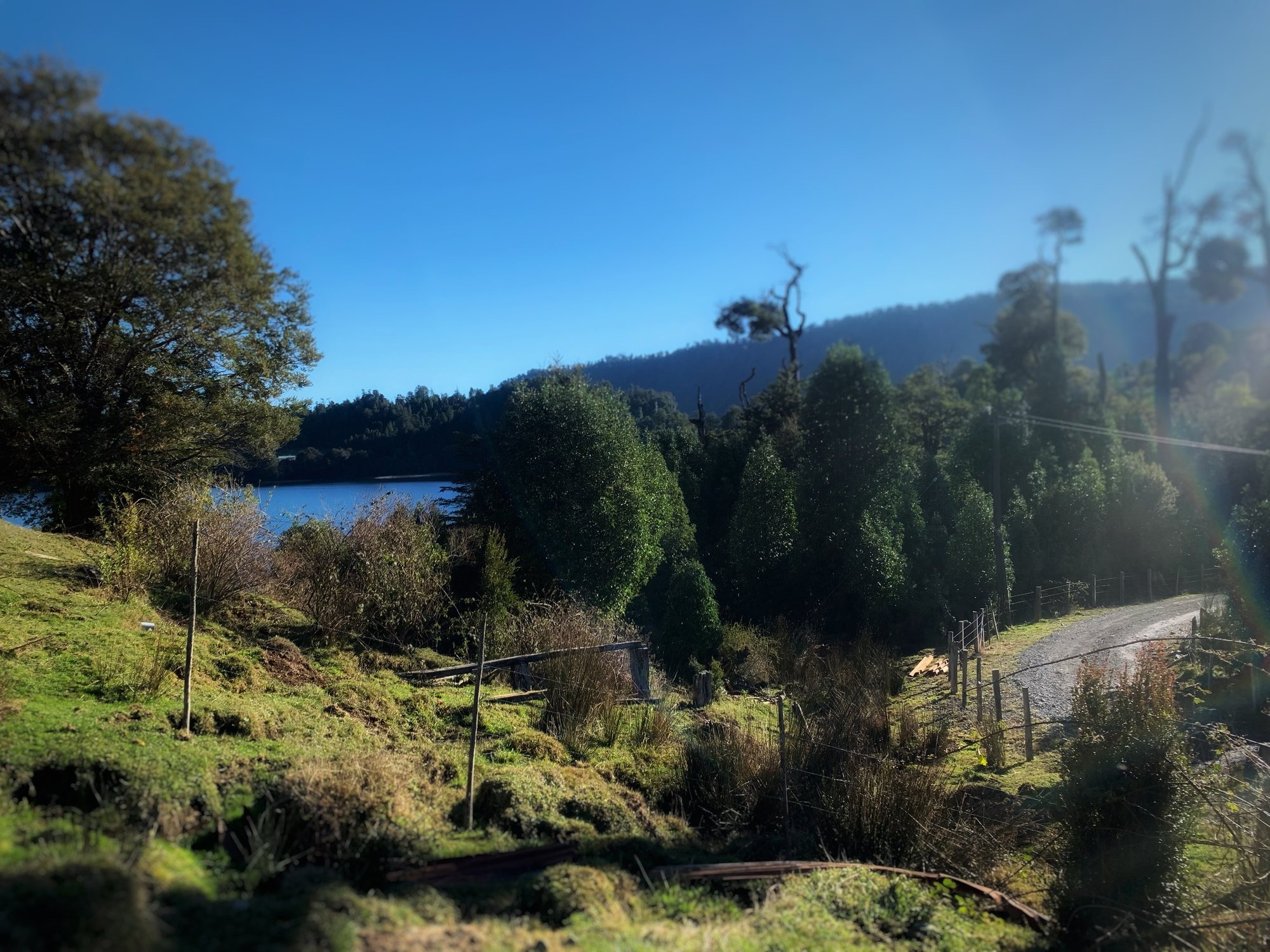 Terreno abierto con la laguna al fondo